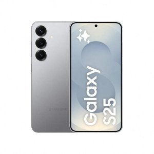 Samsung Galaxy S25 128GB [Dual-Sim] silver shadow