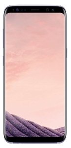 Samsung Galaxy S8 64GB [Dual-Sim] orchid grey